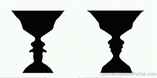 Faces Illusion Picture 1