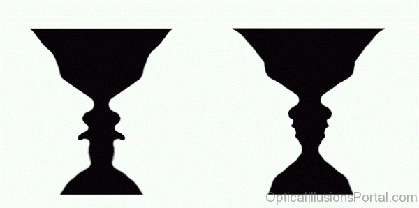Faces Illusion Picture
