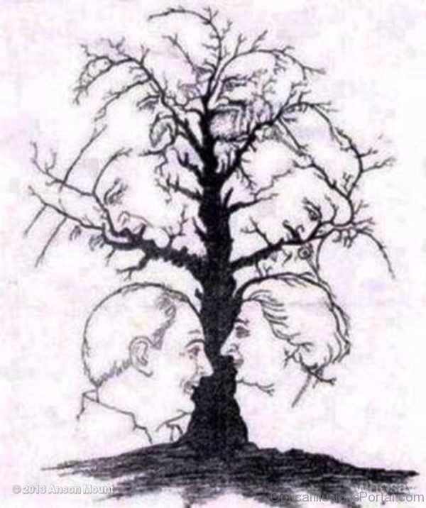 Faces in the Trees Optical Illusion