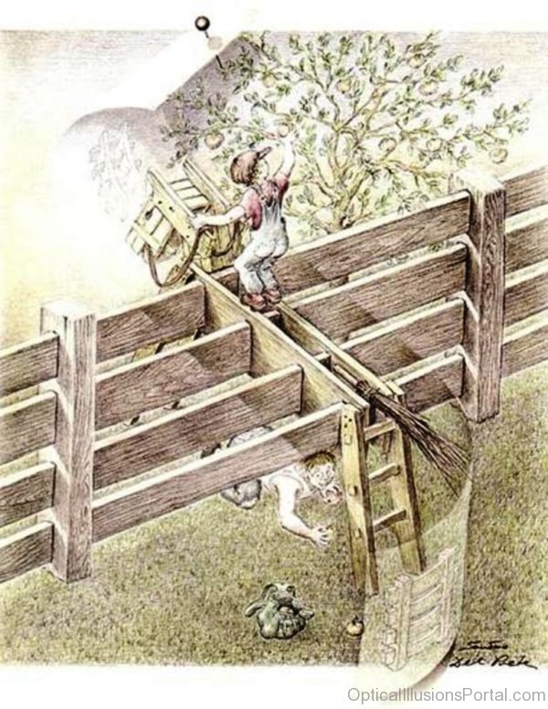 Fence Illusion