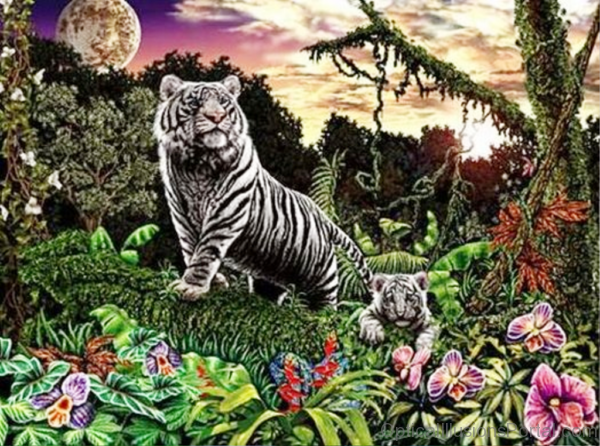 Find the Tigers Optical Illusion