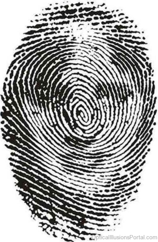 Fingerprint Illusion