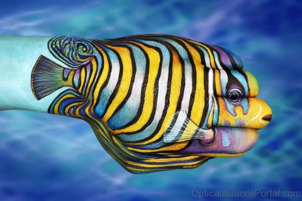 Fish Optical Illsuion