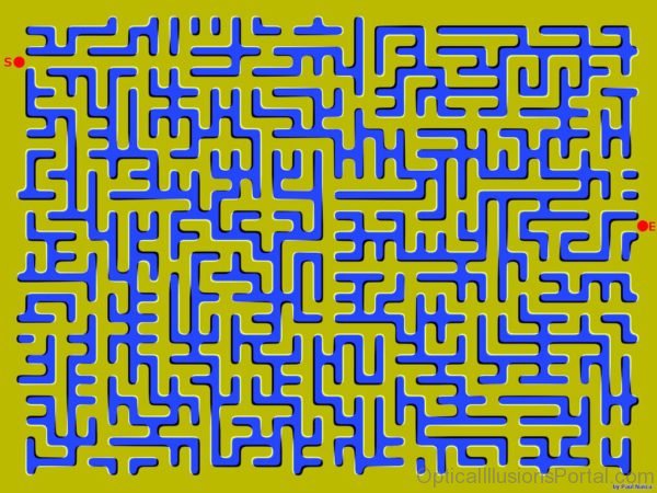 Floating Maze Optical Illusion
