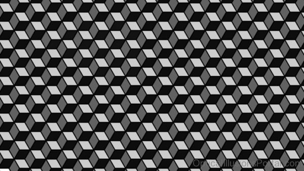 Floor Tiles Illusion 1