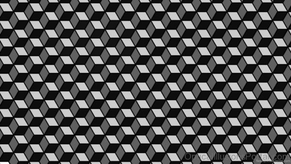 Floor Tiles Illusion 2