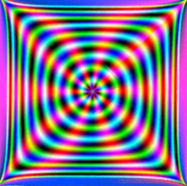 Flower Optical Illusion 1