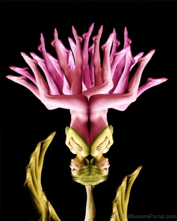 Flower With Body Paint Illusion