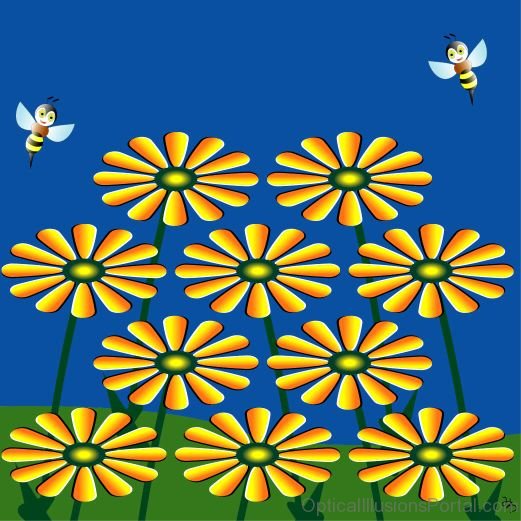Flying Bees and Moving Flower