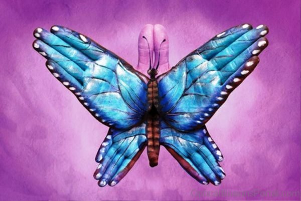 Flying Butterfly Illusion