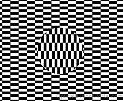 Focus On The Circle Illusion