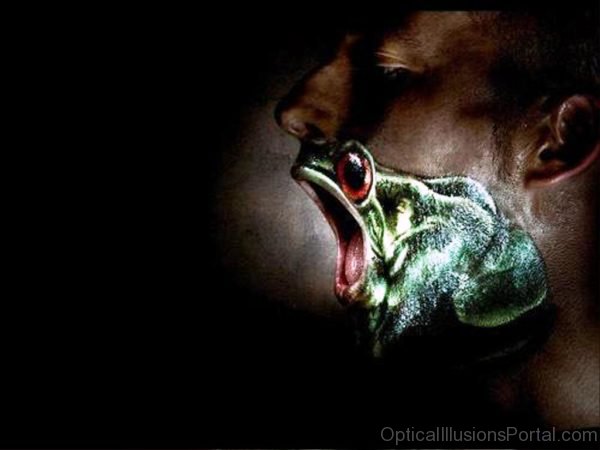 Frog Illusion 1