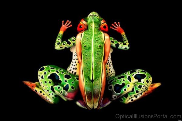 Frog Illusion