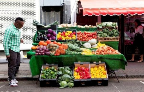 Fruit and Vegetable Optical Illusion