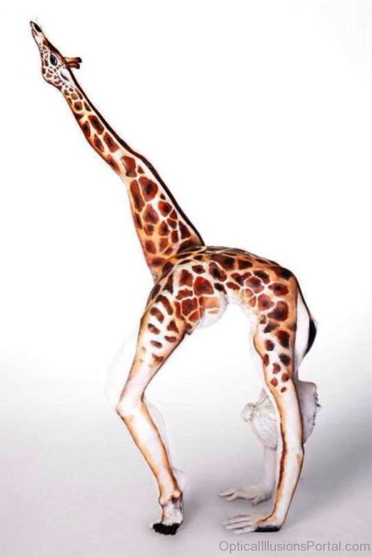 Giraffe Body Painted Illusion