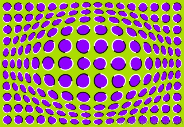 Grape Colored Illusion