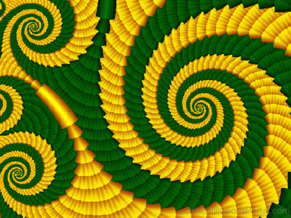 Green Yellow Image