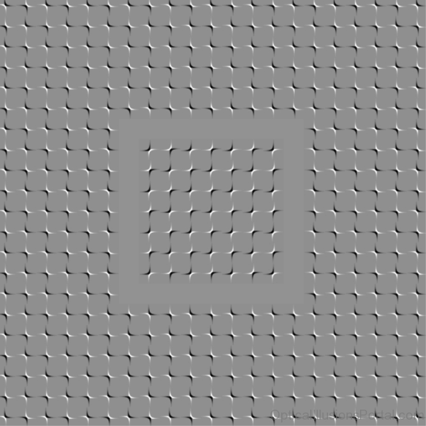 Grey Spine Drift Illusion