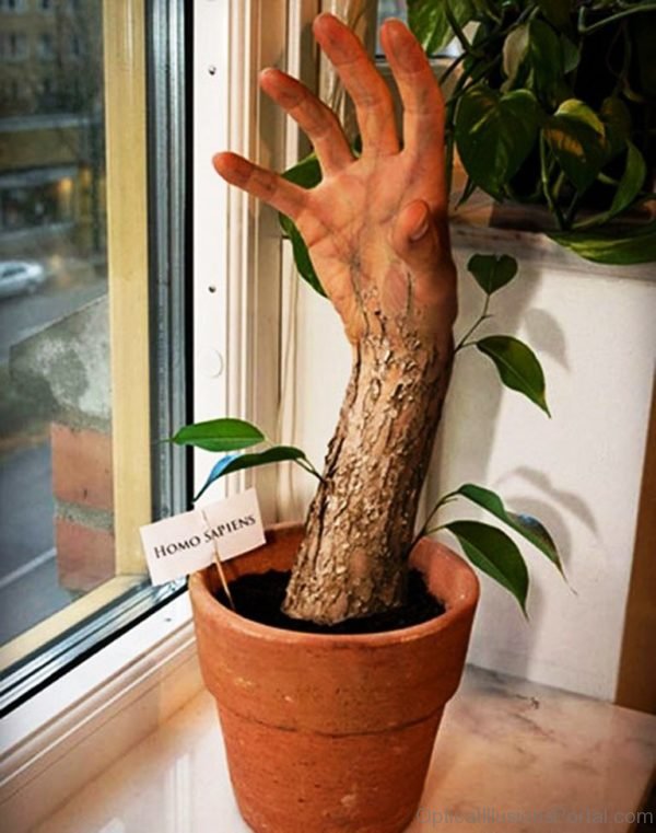 Growing Tree Hand