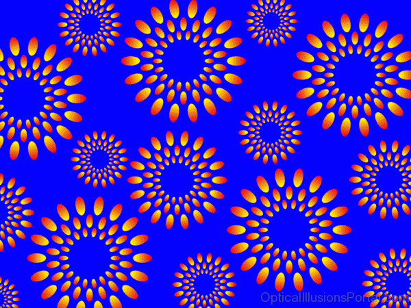 Hanabi Optical Illusion