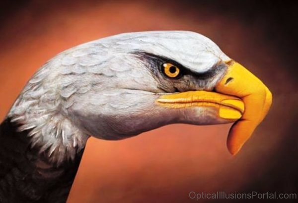 Hand Painting Of Eagle