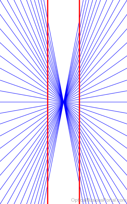 Hering Illusion – Parallel Lines 1