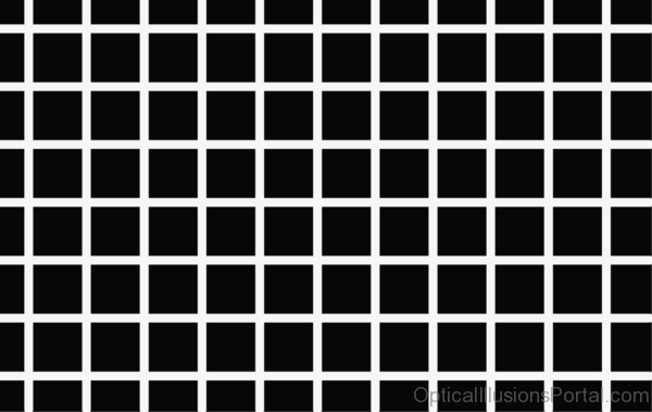 Hermann Grid Illusion