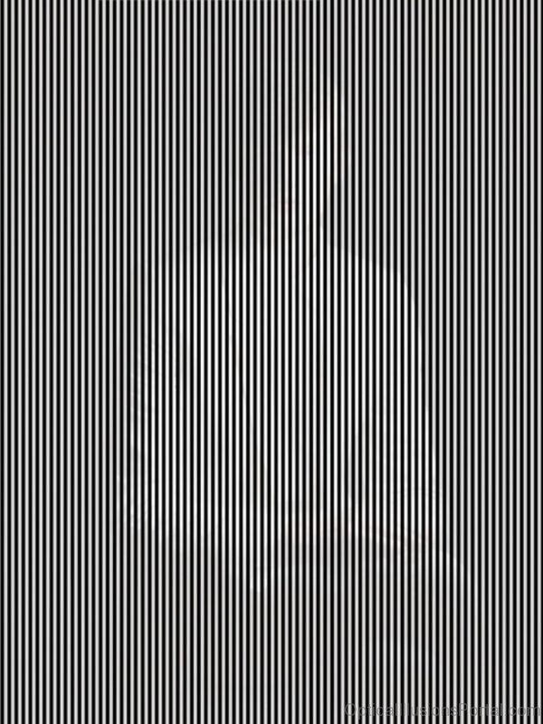 Hidden Image Optical Illusion