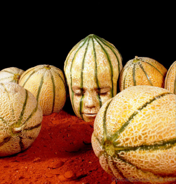 Human Cantaloupe Optical Illusion