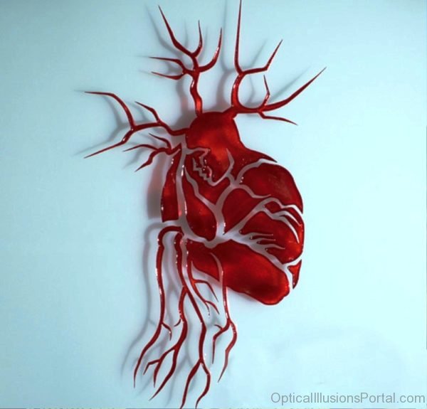 Human Heart Optical Illusion