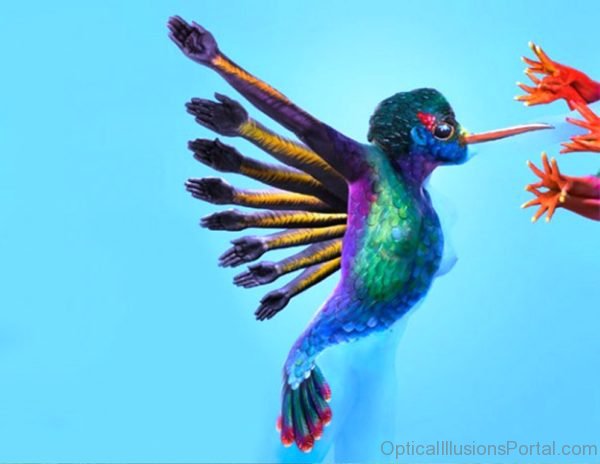 Human Hummingbird Optical Illusion 580x448