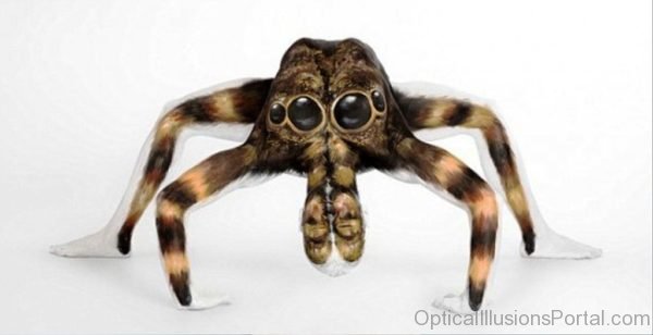Human Spider Optical Illusion