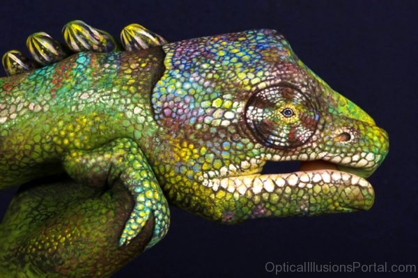 Iguana Optical Illusion