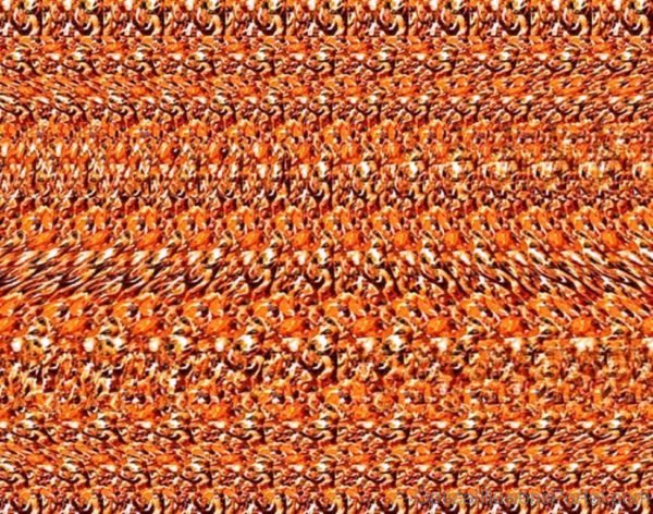 Interesting Stereogram Illusion