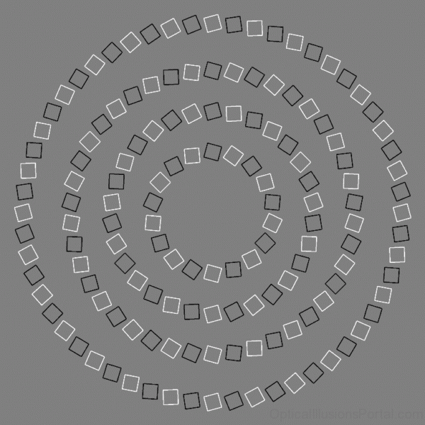 Interwining Circles