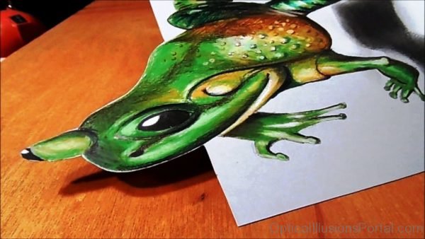 Jumping Frog Anamorphic Illusion