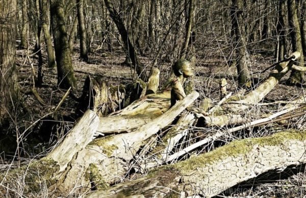 Lady In the Woods Optical Illusion