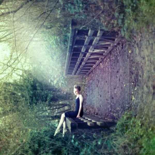 Lady Sitting Woods Photo Illusion