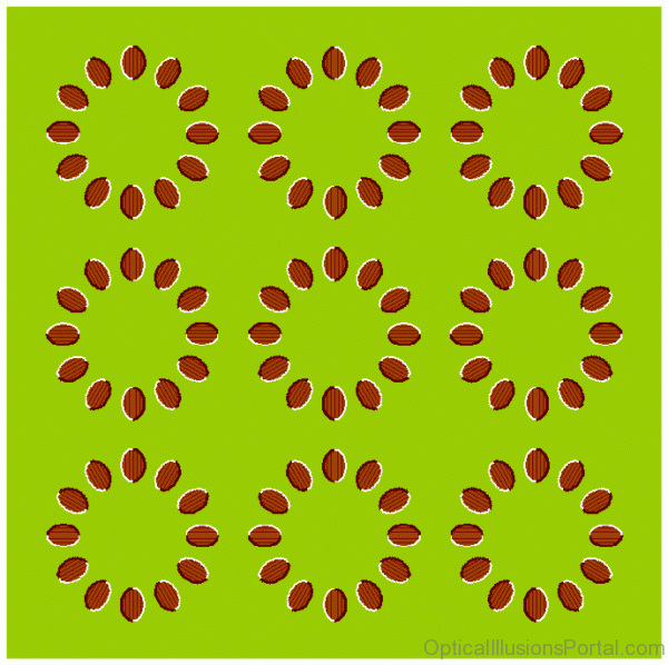 Leaf Circles