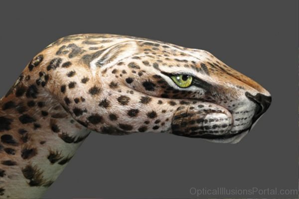 Leopard Optical Illusion