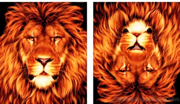 Lion Mouse Illusion
