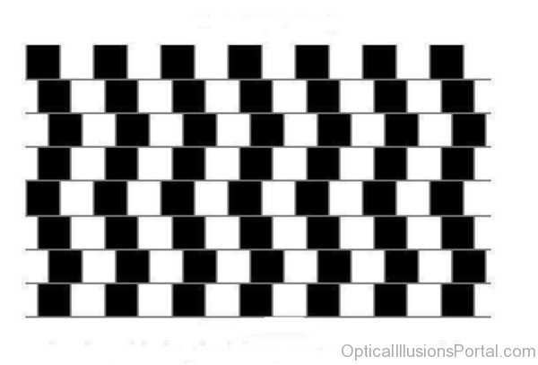 Look At These Lines – New Optical Illusions