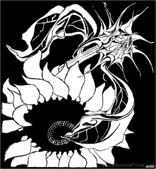 M C Escher Sunflowers