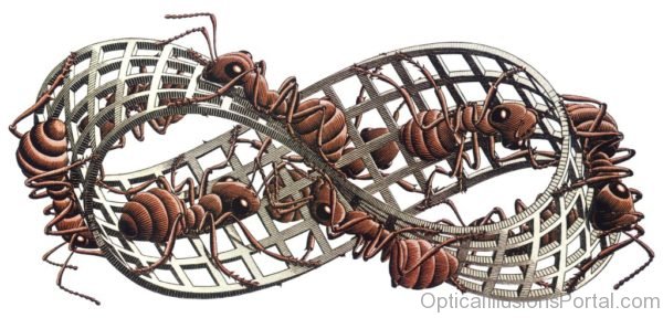 MC Escher Ants Infinity Optical Illusions