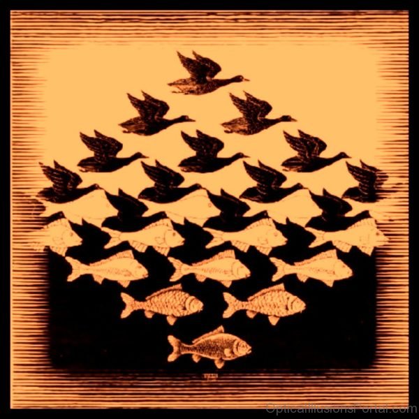 Mind Blending Escher Style Illusion