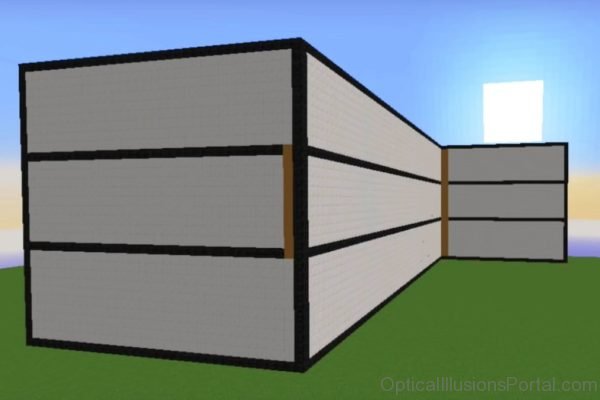 Minecraft Optical Illusion