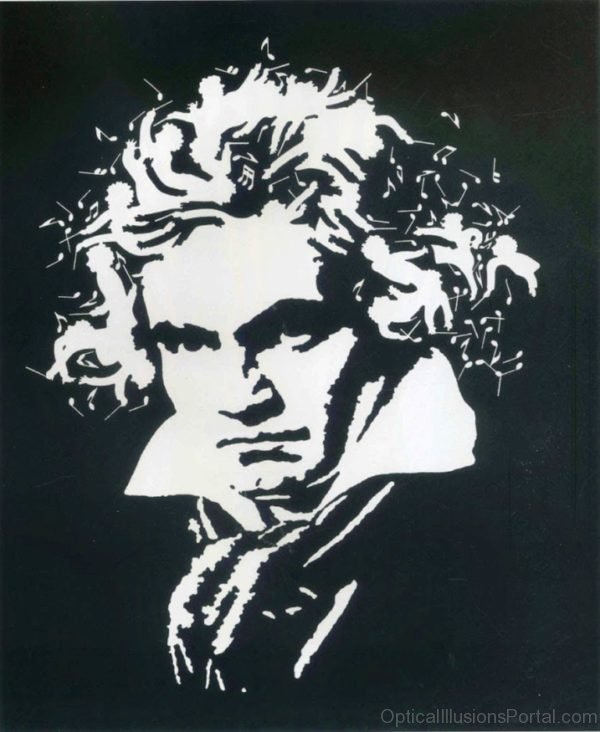 Mozarts Musical Hair Optical Illusion