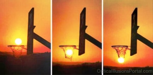 Natural Basketball Optical Illusion