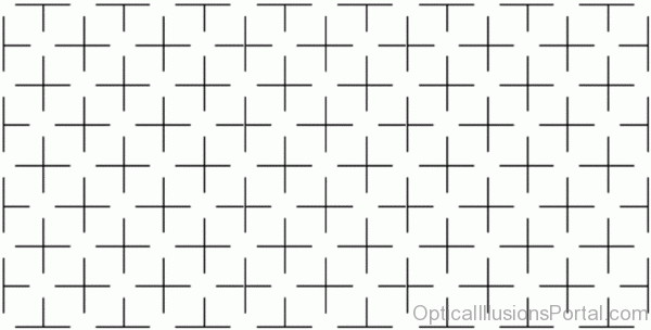 Optical Illusion Grid