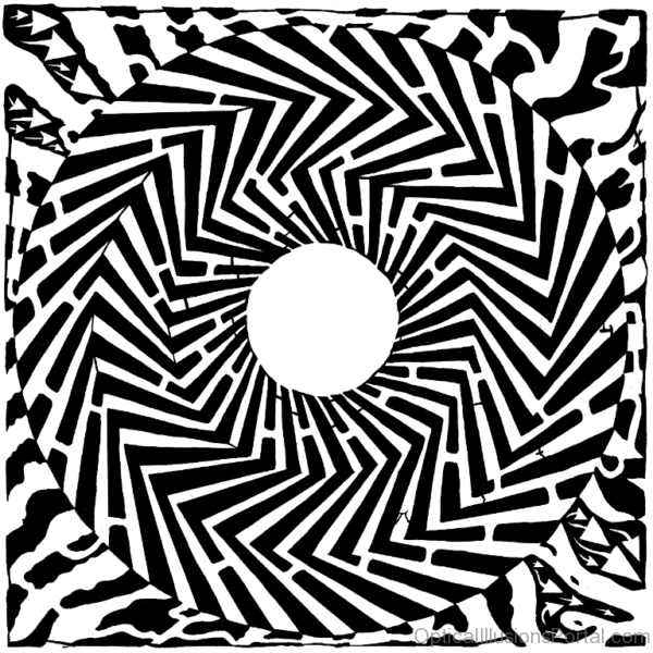 Optical Illusion Maze